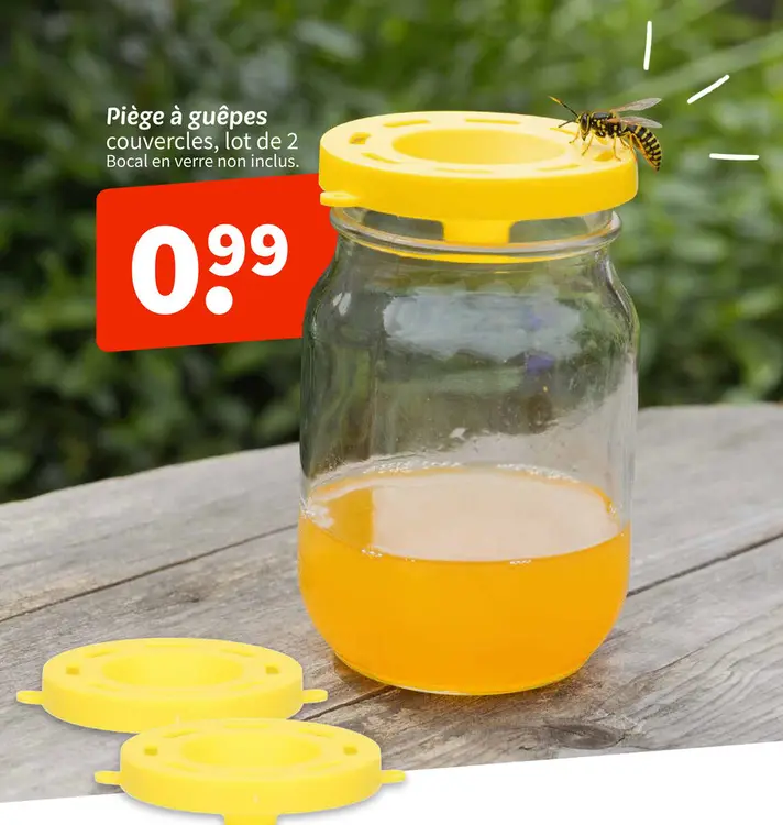 Offre: Piège à guêpes