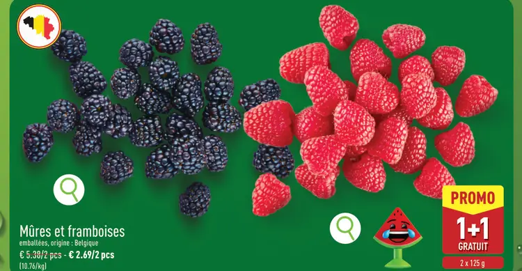 Offre: Mûres et framboises