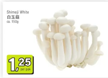 Aanbieding: Shimeji White