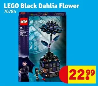Promotie: Black Dahlia Flower