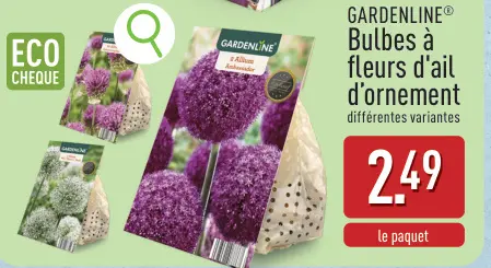 Offre: Bulbes à fleurs d'ail d'ornement