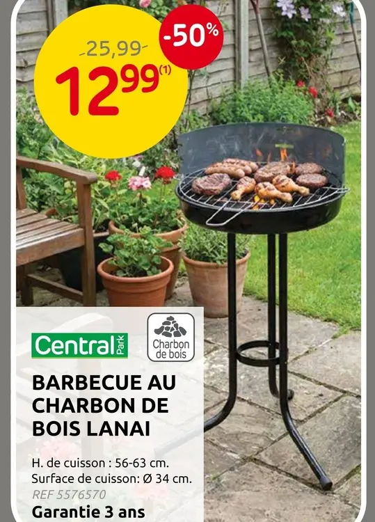 Offre: Barbecue au charbon de bois lanai