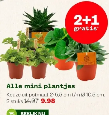 Aanbieding: Alle mini plantjes