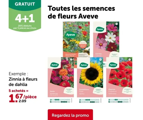 Offre: Toutes les semences de fleurs