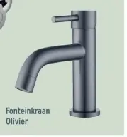 Promotie: Fonteinkraan Olivier