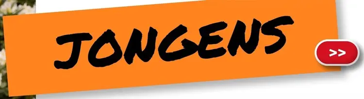 Aanbieding: Jongens