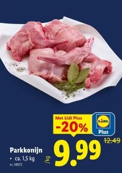 Promotie: Parkkonijn