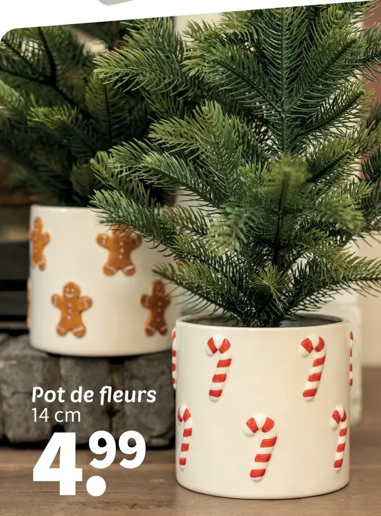 Offre: Pot de fleurs