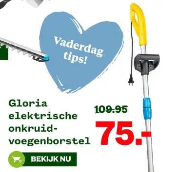 Aanbieding: elektrische onkruid-voegenborstel