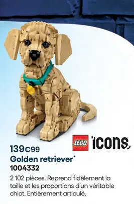 Offre: Golden retriever