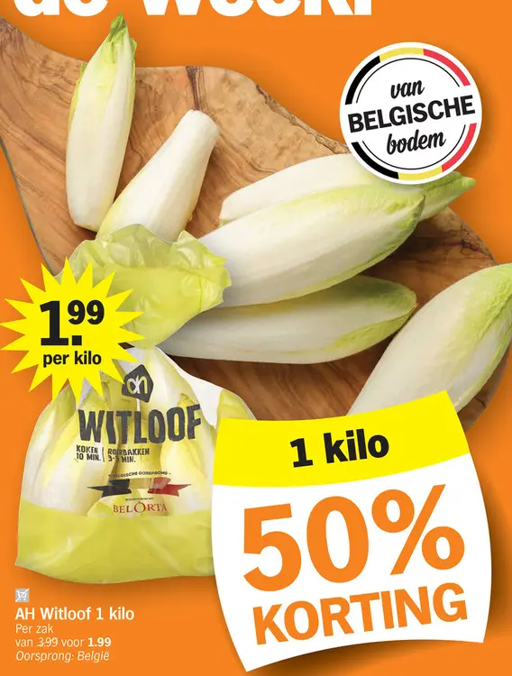 Promotie: Witloof
