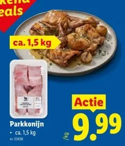 Promotie: Parkkonijn