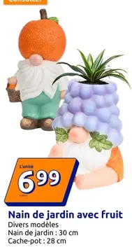 Offre: Nain de jardin avec fruit