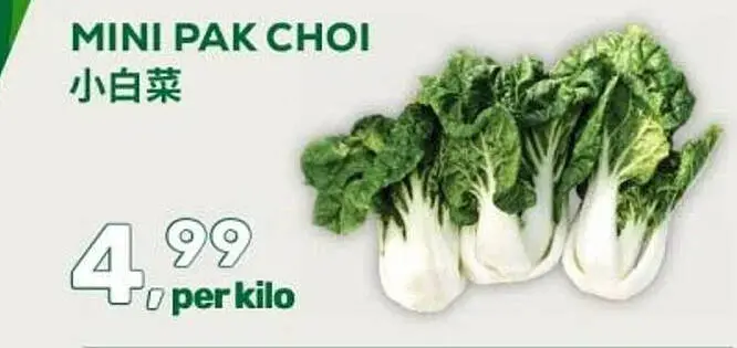 Aanbieding: Mini pak choi