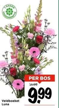 Aanbieding: Veldboeket Luna