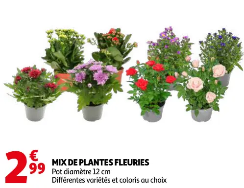 Promotie: Mix de plantes fleuries
