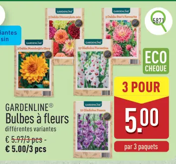 Offre: Bulbes à fleurs