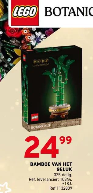 Aanbieding: Bamboe van het geluk