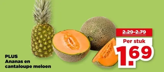 Ananas en cantaloupe meloen