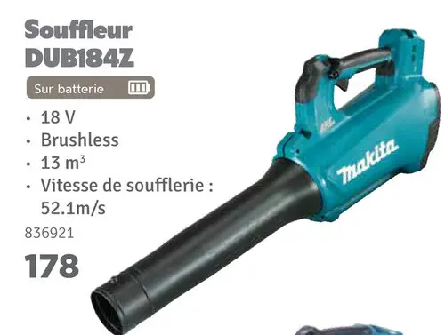 Offre: Souffleur DUB184Z