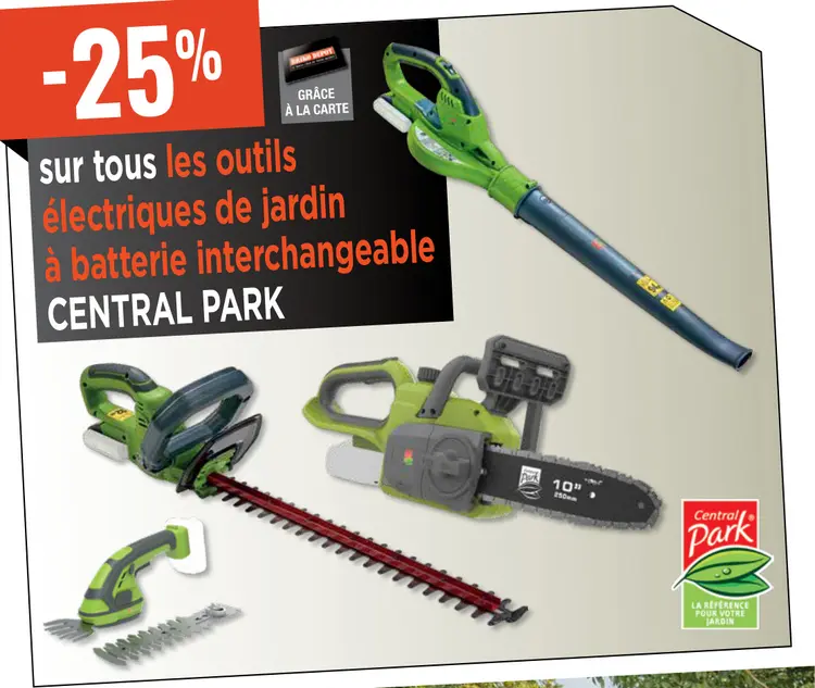 Offre: Outils électriques de jardin à batterie inter