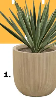 Aanbieding: Bloempot Domonr