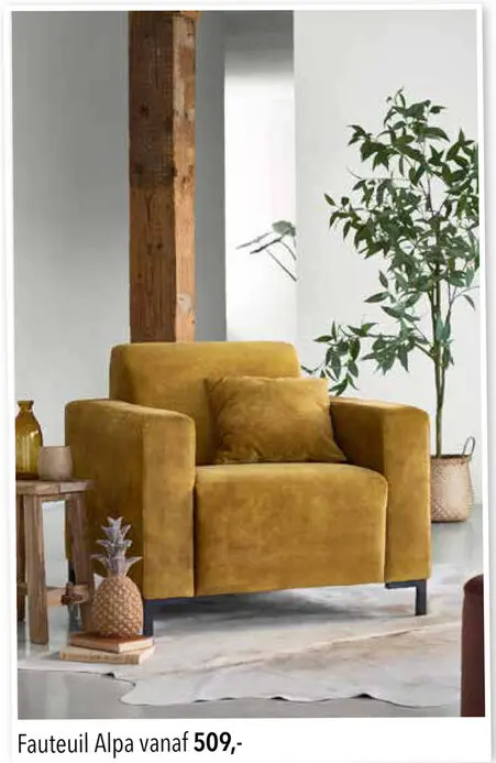 Aanbieding: Fauteuil Alpa