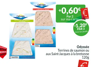 Offre: Terrines de saumon 