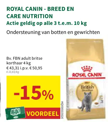 Promotie: FBN adult britse korthaar