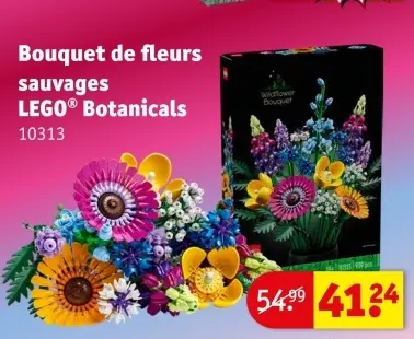 Offre: Bouquet de fleurs sauvages