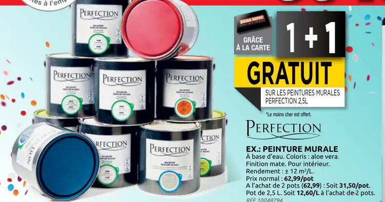 Offre: Peinture murale