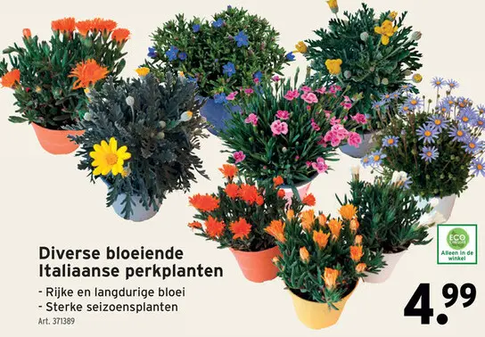 Promotie: Diverse bloeiende Italiaanse perkplanten