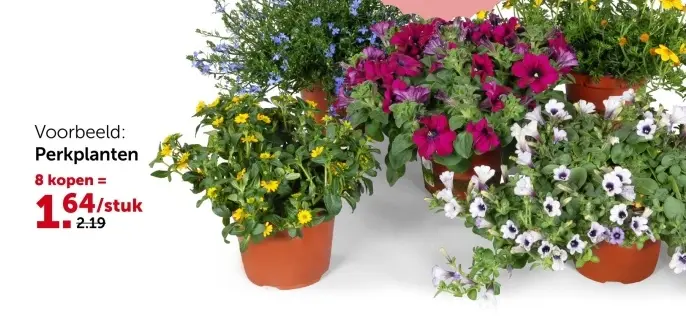 Promotie: Perkplanten