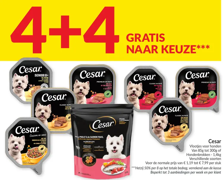 Promotie: Vlootjes voor honden