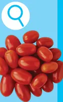 Offre: Tomates bonbon