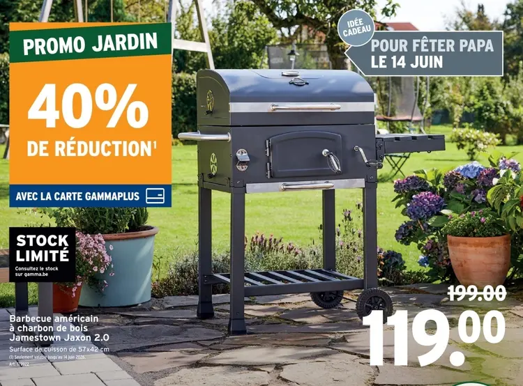 Offre: Barbecue américain à charbon de bois Jamestow