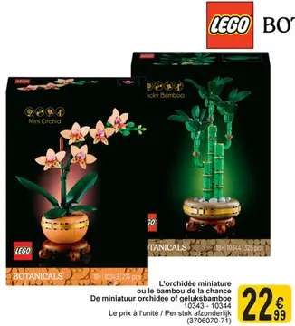 Offre: L'orchidée miniature ou le bambou de la chance / De miniatuur orchidee of geluksbamboe