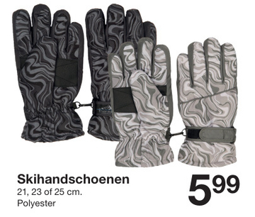 Aanbieding: Skihandschoenen 