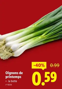 Offre: Oignons de printemps