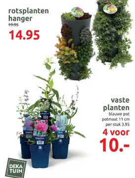 Aanbieding: rotsplanten hanger