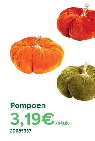 Aanbieding: Pompoen