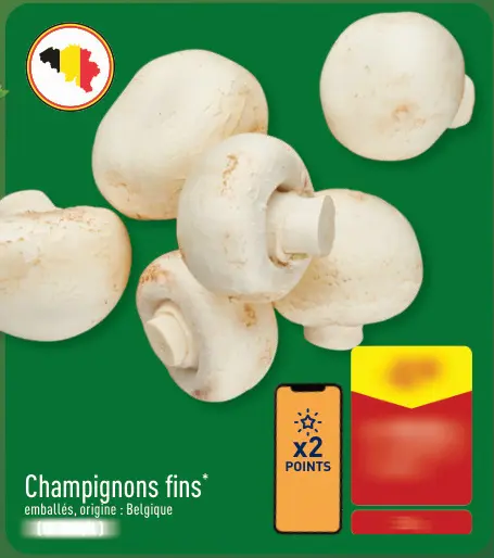 Offre: Champignons fins
