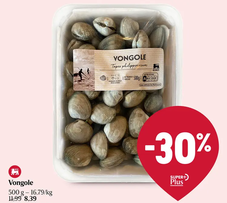 Aanbieding: Vongole