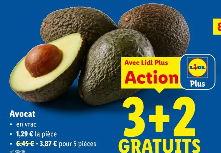 Offre: Avocat