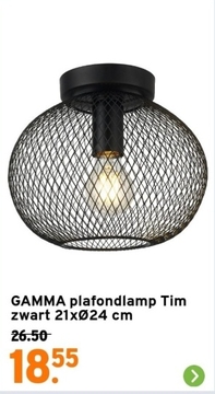 Aanbieding: GAMMA plafondlamp Tim zwart