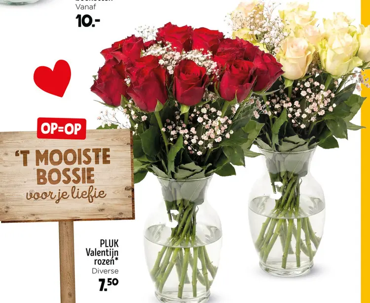 Aanbieding: PLUK Valentijn rozen