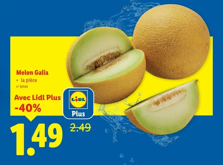 Offre: Melon Galia