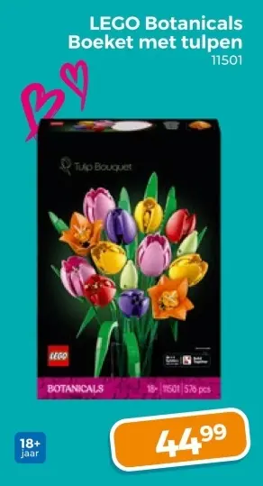 Aanbieding: Botanicals Boeket met tulpen