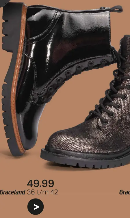 Aanbieding: Veterboot