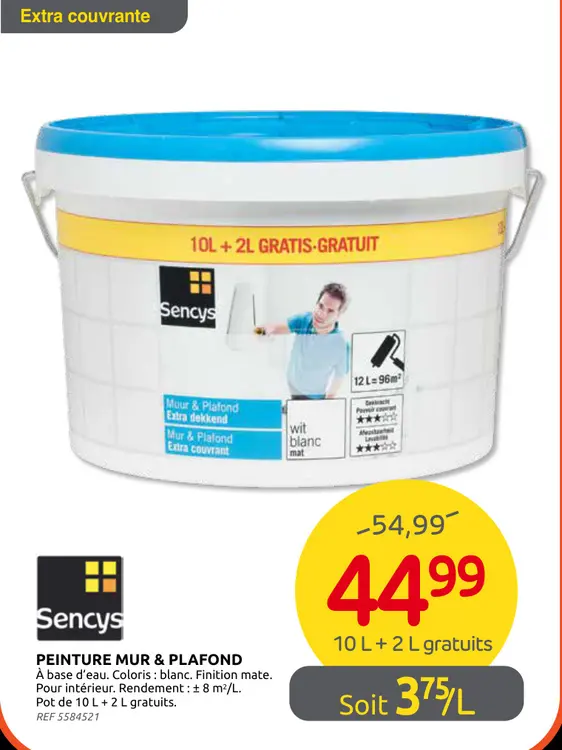 Promotie: Peinture mur & plafond
